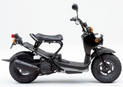 Honda Zoomer Honda Zoomer